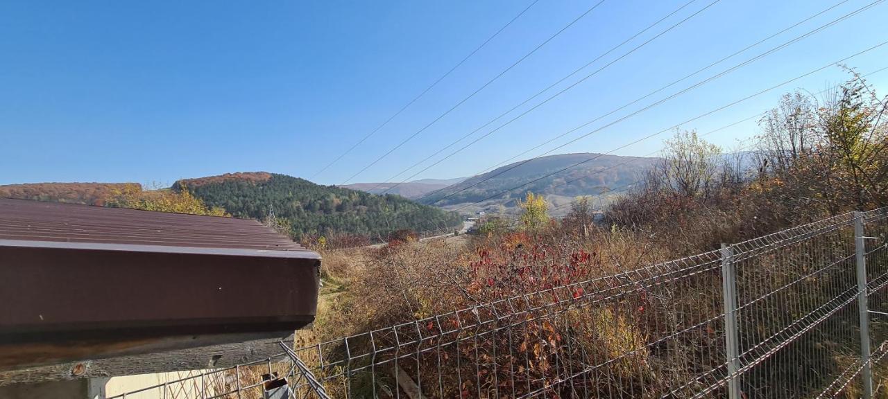 ASePe 2 - Garden - Valley View. Close to VIVO mall Floreşti Exterior foto